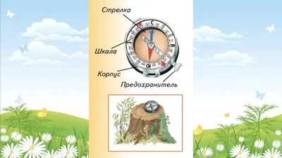 Compass PNG transparent image download, size: 2332x3302px