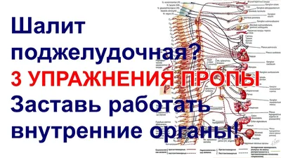 Дыхательная гимнастика: комплекс упражнений для легких начинающим