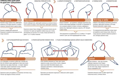 ГИМНАСТИКА ДЛЯ ШЕИ ПО ДОКТОРУ ШИШОНИНУ | Упражнения для шеи, Упражнения,  Гимнастика