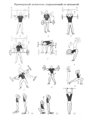 Комплекс упражнений с фитнес резинками для женщин – тренировка для  похудения с резинкой для фитнеса в домашних условиях.
