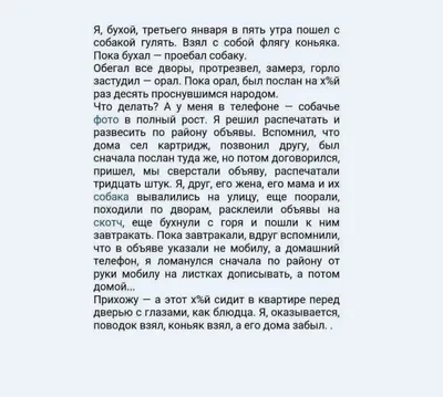 Набор бокалов для коньяка С юбилеем 50 лет (в шкатулке) - купить с  доставкой в «Подарках от Михалыча» (арт. LP86936)