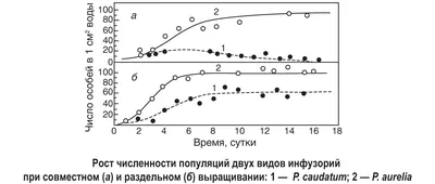 Конкуренция за студента: как бизнес работает с вузами и что это дает | РБК  Тренды