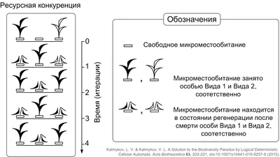 Книга Международная конкуренция. конкурентные преимущества Стран - купить  бизнес-книги в интернет-магазинах, цены на Мегамаркет |