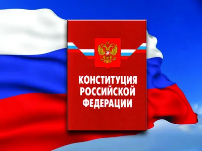 Конституция для детей от 8 до 12 лет - купить книгу в магазине  Благозвонница 978-5-04-168898-1