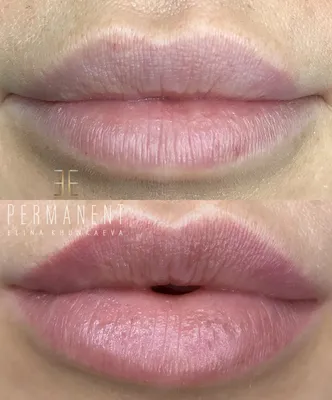 Идеальный контур губ: фото для сравнения