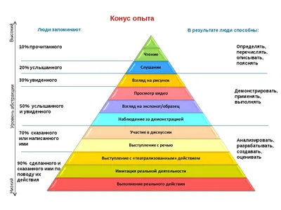 Поделки из конуса для детей - фото и картинки: 70 штук