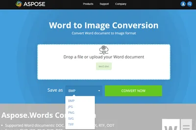 Free Word to JPG converter