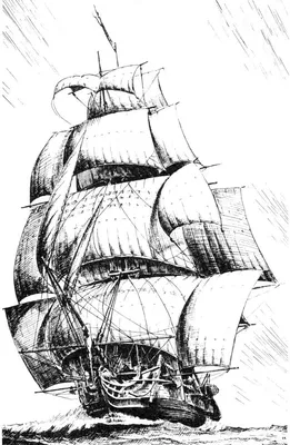 рисунок парусника в черно белом цвете, раскраски пиратский корабль, судно,  пират фон картинки и Фото для бесплатной загрузки