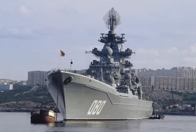 Военные корабли России стали причиной гибели дельфинов и некоторых рыб в  Черном море - 24 Канал