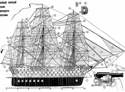 Парусные корабли. История мореплавания и кораблестроения с древних времен  до XIX века (Роберт Тьюсли Андерсон) - купить книгу с доставкой в  интернет-магазине «Читай-город». ISBN: 978-5-95-245143-8