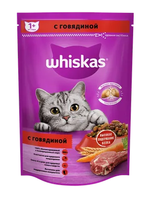 Сухой корм Purina One для взрослых кошек с курицей и цельными злаками, 750  г - купить с доставкой в Ростове-на-Дону - STORUM