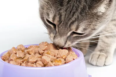 Сухой корм WHISKAS® с говядиной для кошек, 350 г — купить онлайн