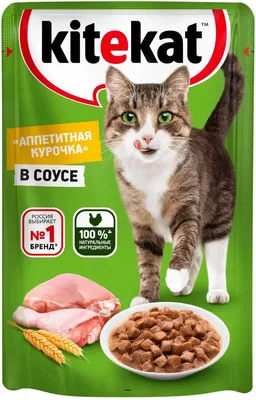 Сухой корм GRANDORF PROBIOTIC INDOOR для кошек, с живыми пробиотическими  бактериями, 4 видами мяса и бурым рисом купить по низкой цене в  Екатеринбурге с доставкой - интернет-зоомагазин Кошка.Про