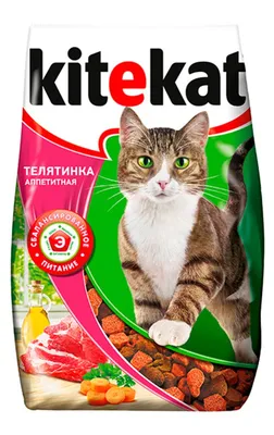 Purina One сухой корм для стерилизованных кошек с лососем и пшеницей - 200  г - купить в Москве | КотМатрос
