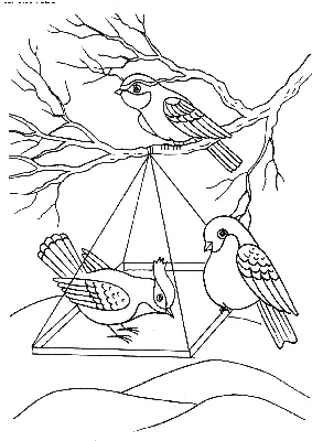 Мастер-класс по аппликации в комбинированной технике «Кормушка для зимующих  птиц» (9 фото). Воспитателям детских садов, школьным учителям и педагогам -  Маам.ру