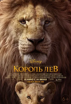 Король Лев (2019) — фото: кадры из фильма, постеры, фотографии со съемок —  Фильм Про