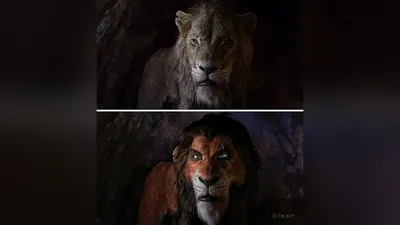 Раскраска Львица Нала | Раскраски из мультфильма Король лев (Lion King)
