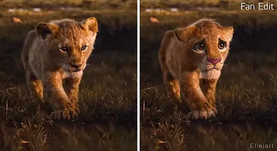 Король Лев (2019) - Lion King, The - кадры из фильма - голливудские  мультфильмы - Кино-Театр.Ру