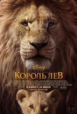 Король лев 2 Зира и Кову - Такого нахала страна не видала - YouTube