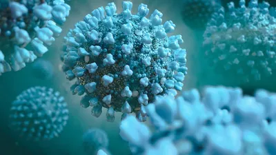 What is coronavirus and Covid-19? An explainer | CNN