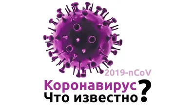 Коронавирус в Литве: 515 новых случаев, один летальный исход - Delfi RU