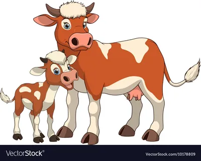 Корова с теленком рисунок - 63 фото