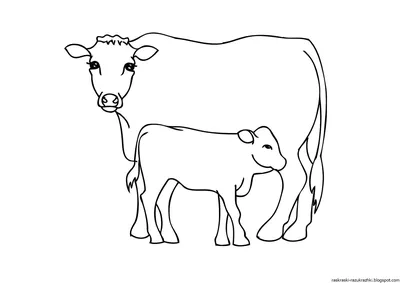 Корова и теленок картинки для детей - 23 фото