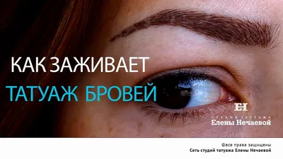 Как самостоятельно корректировать брови после татуажа: фотошаги