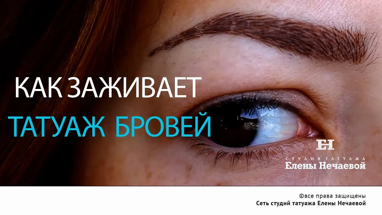 Как самостоятельно корректировать брови после татуажа: фотошаги Как самостоятельно корректировать брови после татуажа: фотошаги