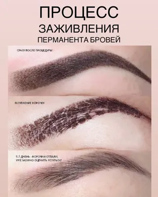 Как подобрать форму бровей при коррекции после татуажа: фотошаги