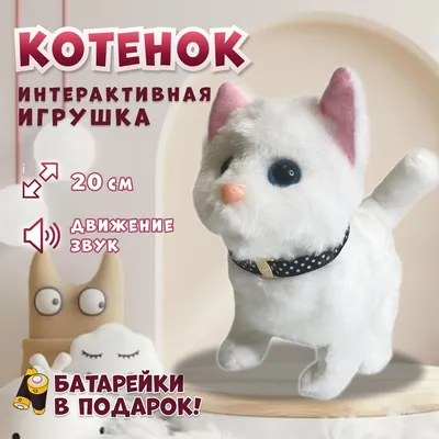 Сколько котят может родить кошка: в первый раз, последующие и максимум