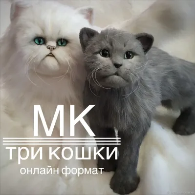 Кошки и котята. Энциклопедия для детского сада для детей 4+ РОСМЭН 7134948  купить в интернет-магазине Wildberries