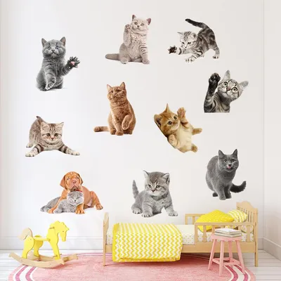 Кошка клипарт (65 фото) » Рисунки для срисовки и не только