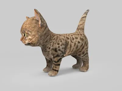 Подарки, скульптуры из смолы для кошек, смоляная кошка, миниатюрные  мультяшные украшения, фигурки котят, аксессуары – лучшие товары в  онлайн-магазине Джум Гик