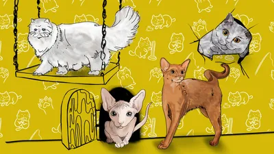 Беспородные кошки и Метисы - «Я люблю породистых и беспородных кошек  абсолютно одинаково» | отзывы