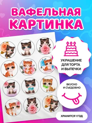 Кошка простым карандашом - 66 фото