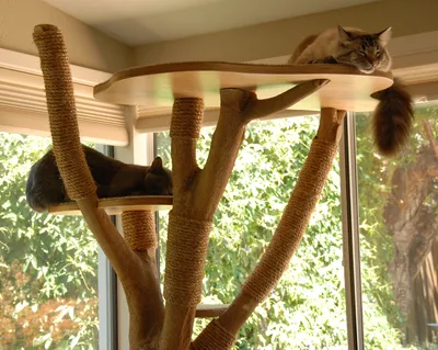 Домик для кошки своими руками: 3 варианта изготовления