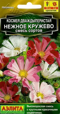 Цветок искусственный Космея, H58 cм, 6в. купить оптом (305629) |  REMECOCLUB.RU