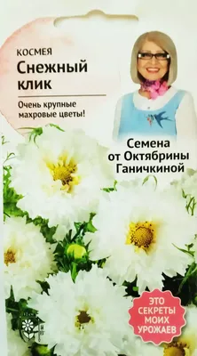 Семена цветов Поиск Космея Ракушка, 0,3 г купить в Москве по цене 23.00 р с  доставкой в интернет-магазине | ФРОНТМАСТЕР