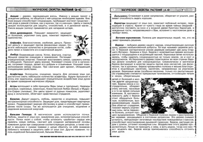 Изображение Костенец (асплениум): как выбрать место для размещения