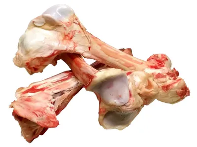 две кости скелета соприкасаются руками, картинка кости руки фон картинки и  Фото для бесплатной загрузки