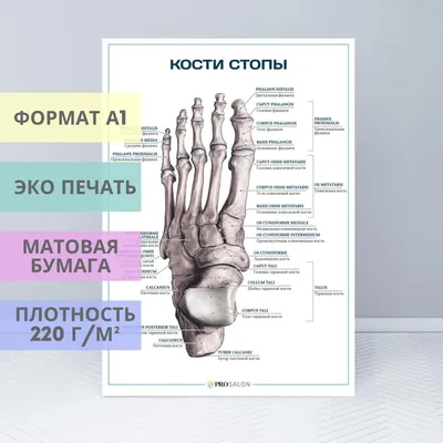 Экзостоз кости, костные экзостозы костей - диагностика, лечение, операция в  Москве ЦИТО