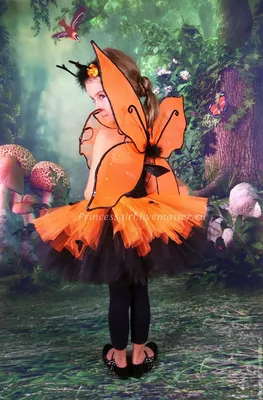 Костюм бабочки, наряд феи, костюм феи крылья бабочки: 400 грн. - Одежда для  девочек Калита на Olx