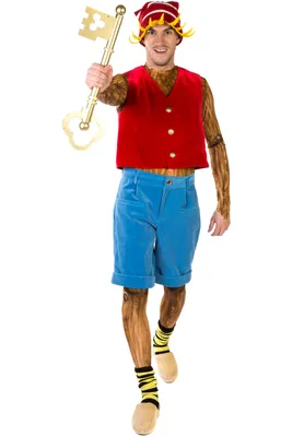 Карнавальный костюм Veneziano Буратино - купить с доставкой по выгодным  ценам в интернет-магазине OZON (478682752)