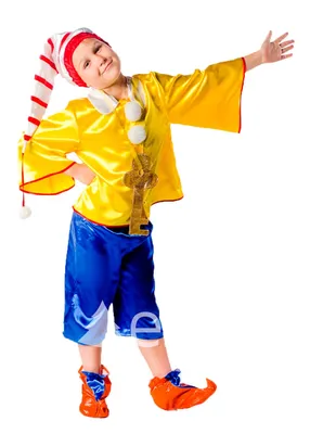 Костюм Буратино/Гномика 4-6 лет (104-116 см) напрокат в Бресте -  Карнавальные костюмы для мальчиков в прокате Babytop