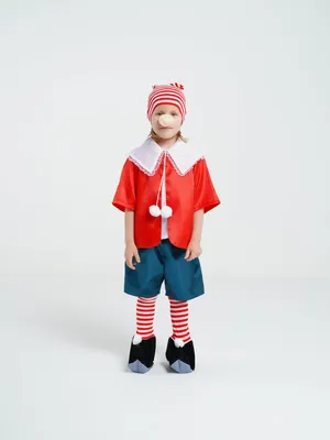 Детский костюм Буратино, 100473, размеры 5-6 лет, 7-8 лет, 9-10 лет |  Сравнить цены на ELKA.UA