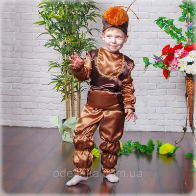 Карнавальный костюм человека муравья на 7-8 лет — цена 115 грн в каталоге  Карнавальные ✓ Купить товары для детей по доступной цене на Шафе | Украина  #105500669