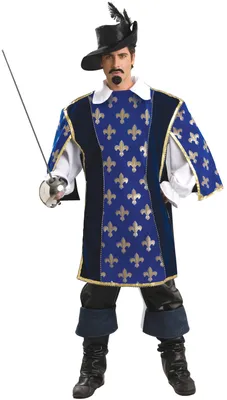 Маскарадный костюм мушкетера детский, 5-7 лет купить с доставкой по цене 3  500 руб. в Москве | dastoys.ru