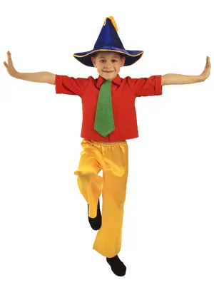 Детский карнавальный костюм Незнайка, 110749, размеры 5-6 лет, 9-10 лет |  Сравнить цены на ELKA.UA