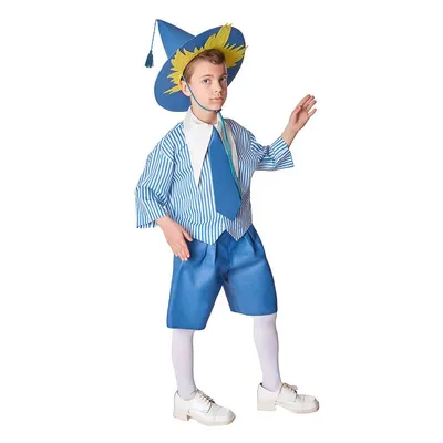 Карнавальный костюм Вестифика Незнайка - купить с доставкой по выгодным  ценам в интернет-магазине OZON (284233782)